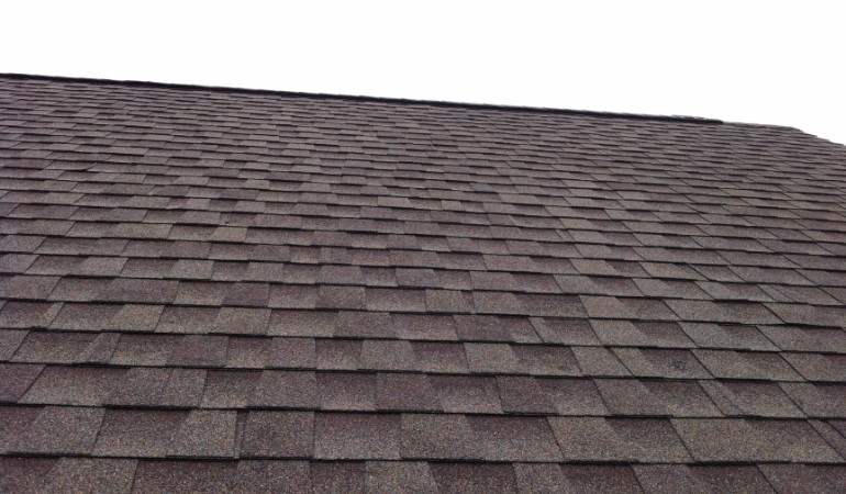 Shingle Roofing in Palmetto Bay FL